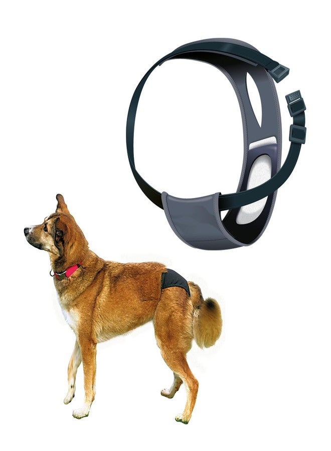 Trixie: - Protective Pants for Female Dogs | Designed for Dogs in The Season to Prevent Staining of Carpets & Other Fabrics | Handy Snap Clip Makes It Easy to Put On | Washable - S-M, 32-39 cm - Image 1